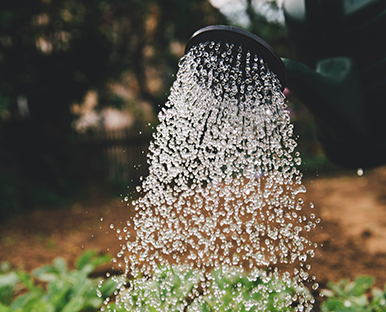 Des pratiques agricoles responsables