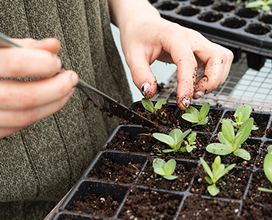 Protection de la biodiversité