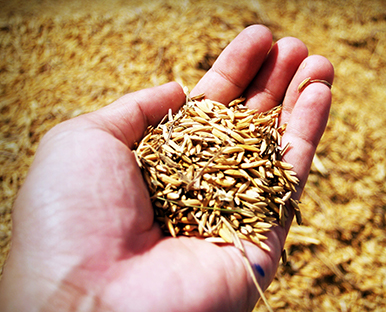 Réduction des déchets