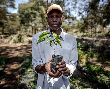 Protection de la biodiversité